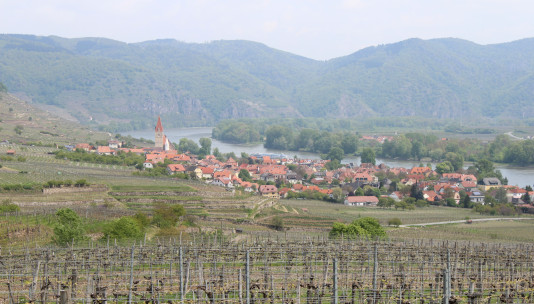 Wachau